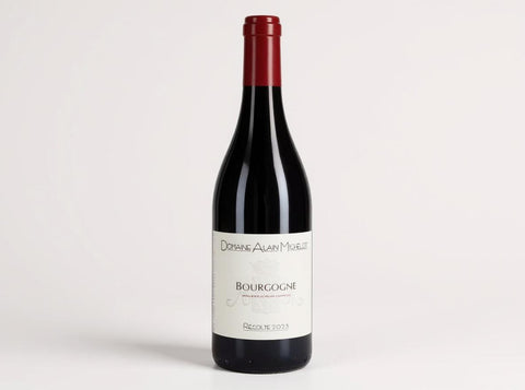 Catalog image - Michelot Bourgogne Rouge 2023 – Vino Rosso 75 cl